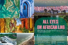 All eyes on African LNG