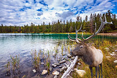 Environmental Assessment Certificate submitted for Cedar LNG project