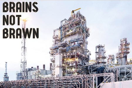 Brain vs brawn essay 08 picture